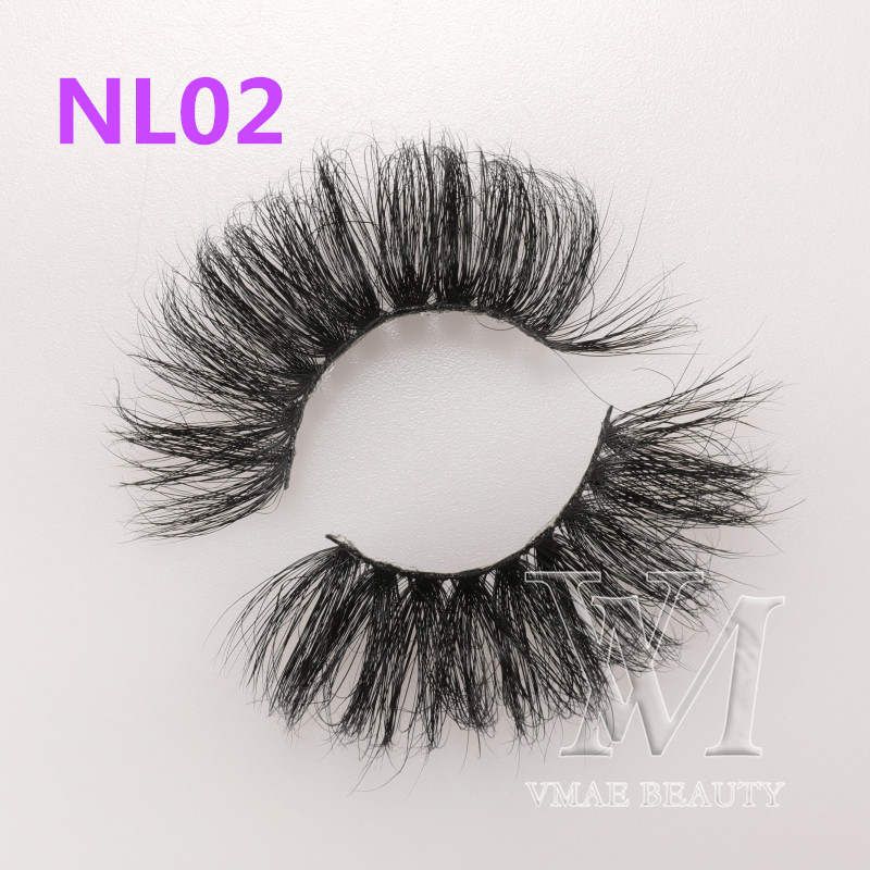 NL 02