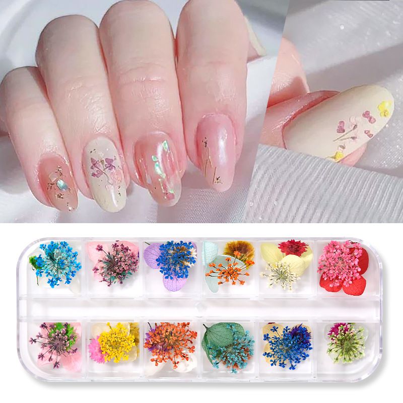 satin al 12 renkler kurutulmus cicekler nail art dekorasyon 3d dogal papatya gypsophila preserved kuru cicek diy tirnak cikartma manikur dekor decal