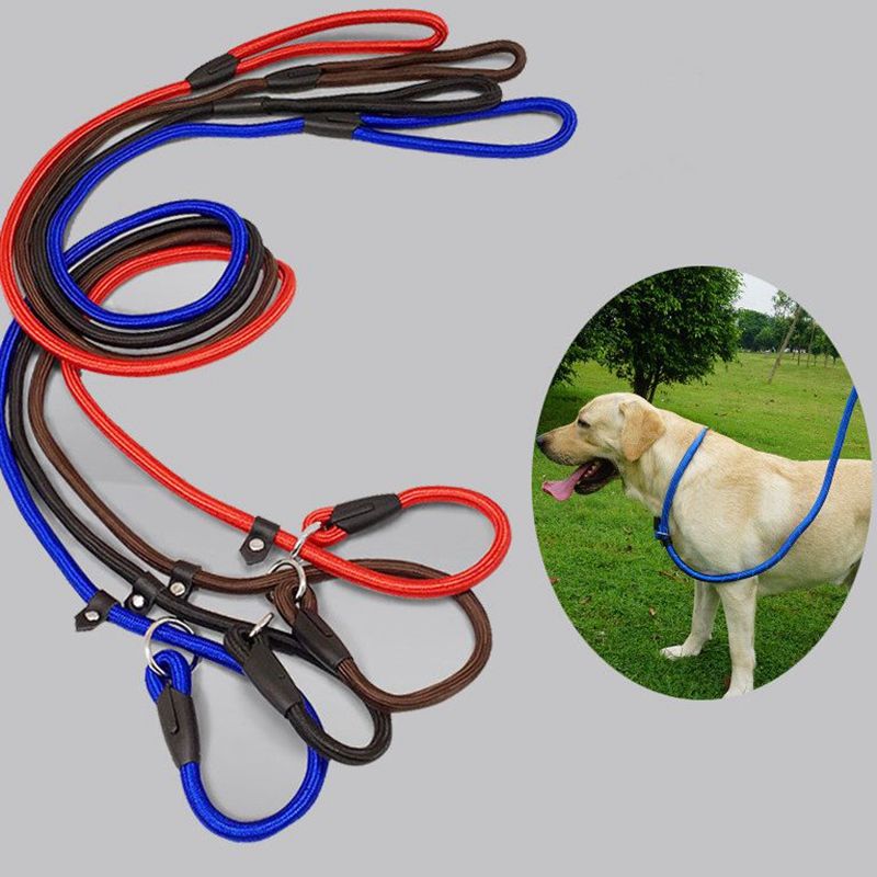 slip lead dog leash