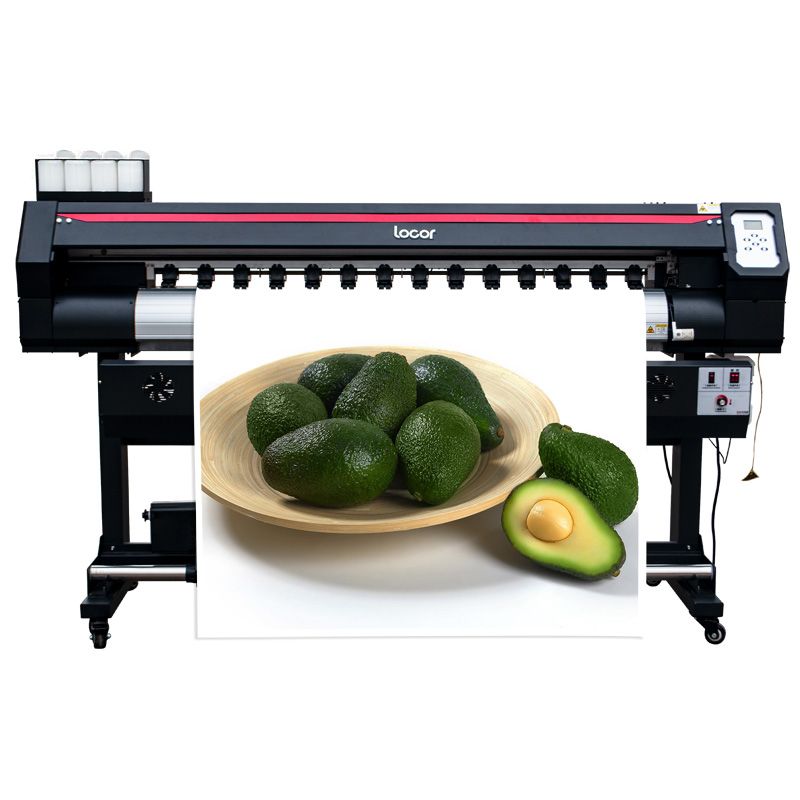 24 eco solvent printer