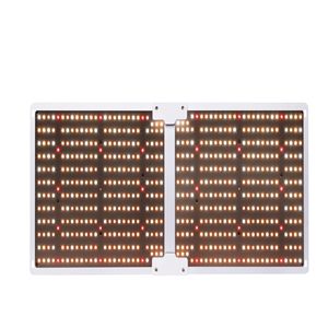 QB2000 606LED dimming