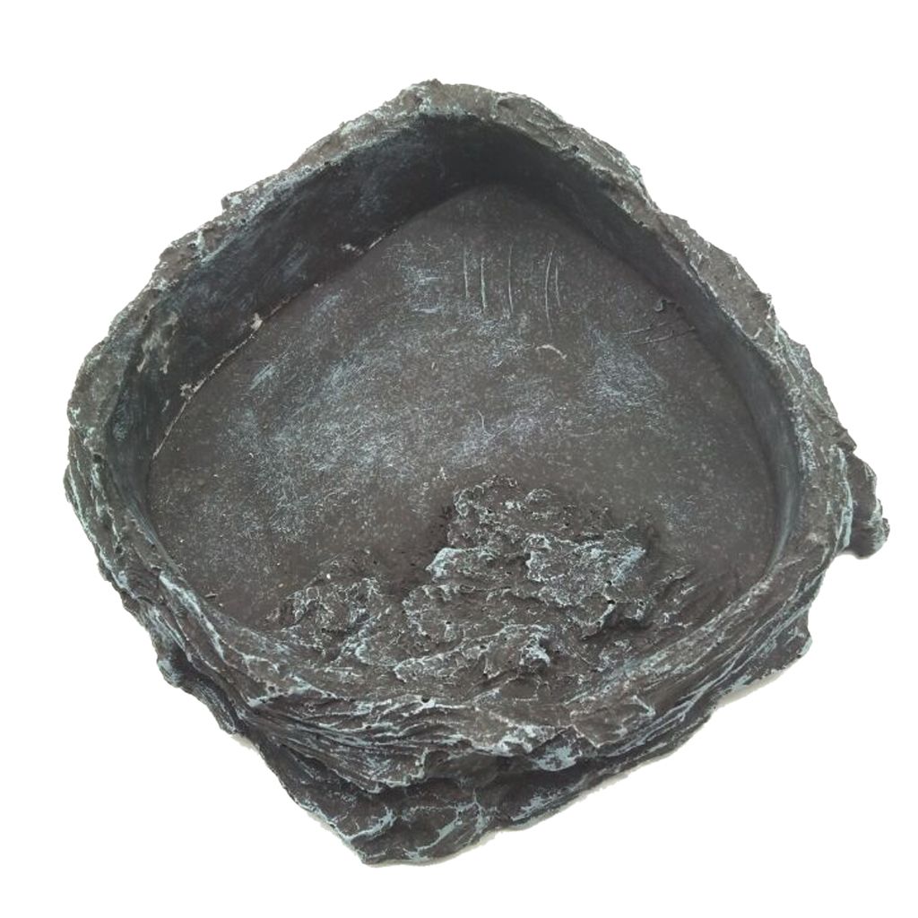 reptile food bowls