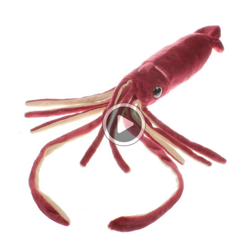 squid plush toy