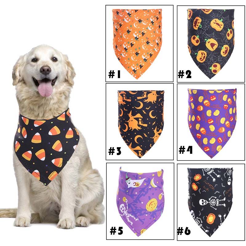 dog and cat accessories