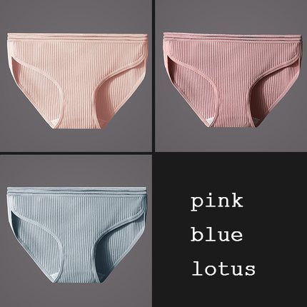 Lótus azul-de-rosa