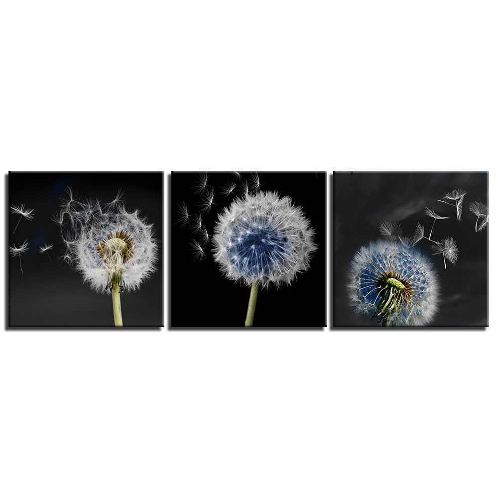 24 x 36 JP London BWMCNV2316 2 Thick Heavyweight Black & White Gallery Wrap Canvas Dandelion Wish Wind for Waiting Wallpaper 24 x 36 JP London BWMCNV2316 2 Thick Heavyweight Black & White Gallery Wrap Canvas Dandelion Wish Wind for Waiting Wallpaper