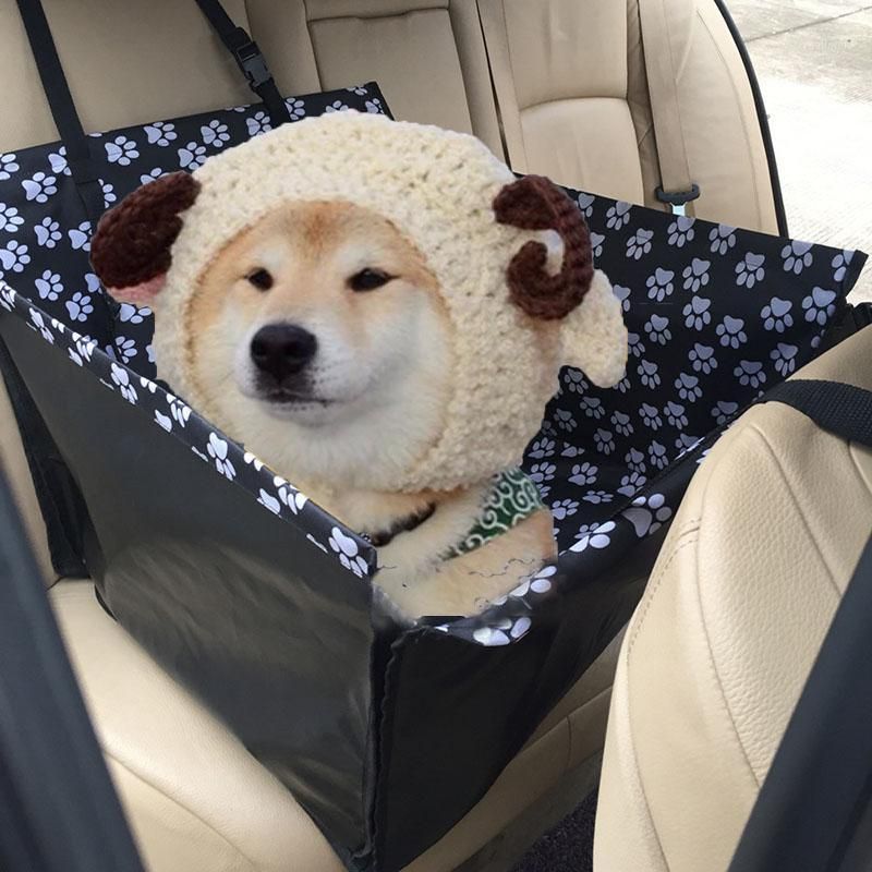 En Iyi Ve En Ucuz Kopek Tasima Tasima Cantasi Kedi Kopek Araba Koltugu Kapak Kopek Arabada Bir Hamakta Kopek Chihuahua Shiba Inu1 Icin Ucuz Urun Tasima Indirimli Dhgate Com
