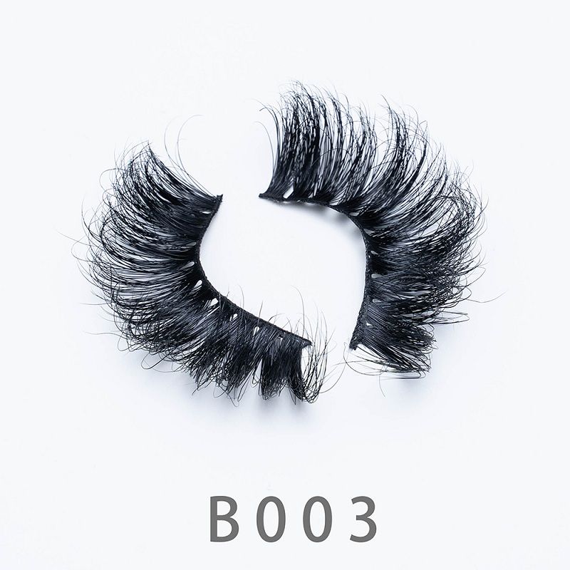 B003.