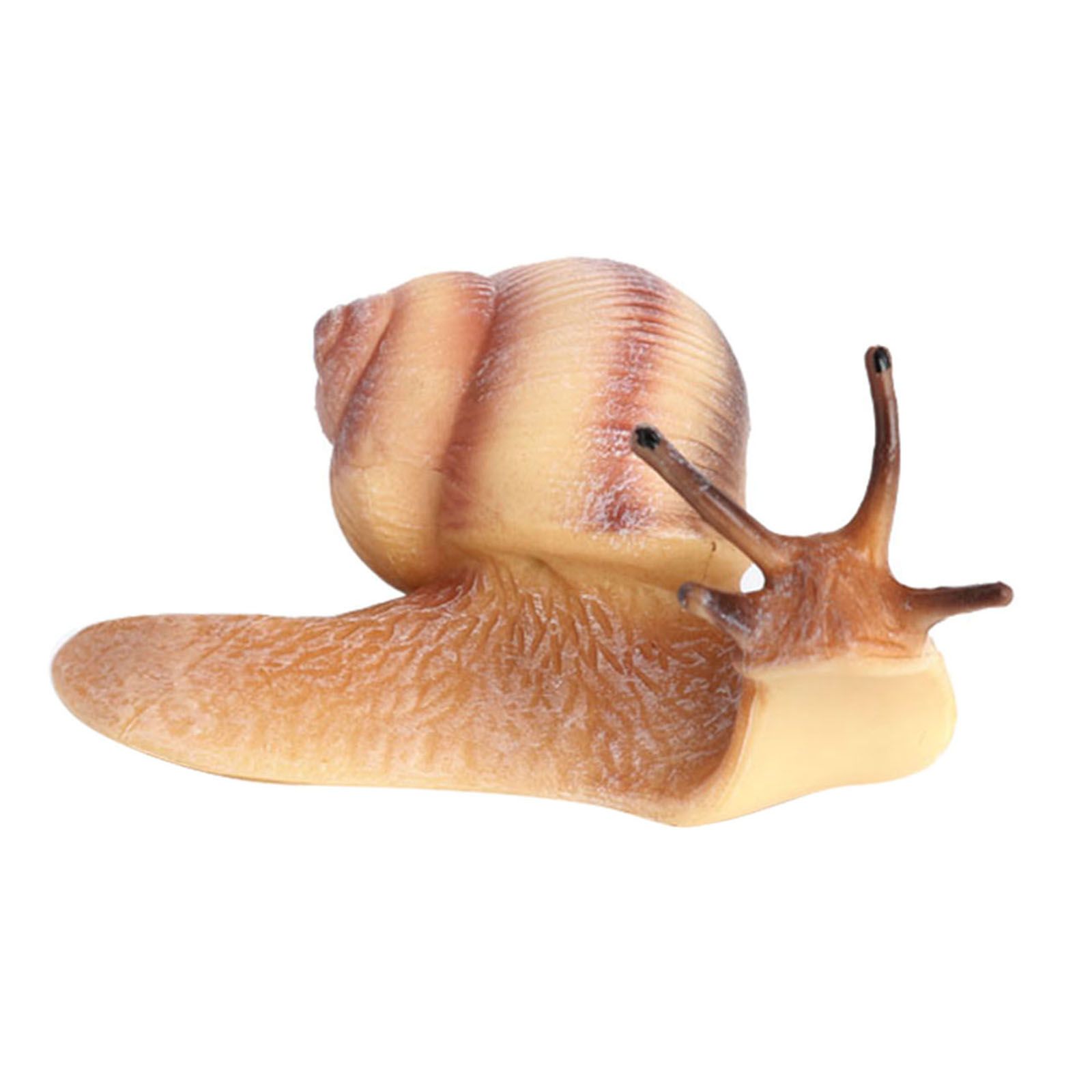 Ciclo de vida de crecimiento de Plástico Caracol realista criatura marina juguetes de aprendizaje de la naturaleza 