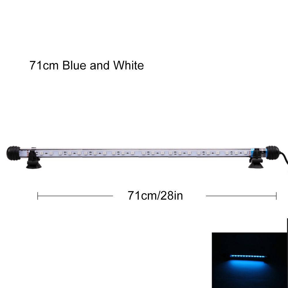 71cm Blue And White