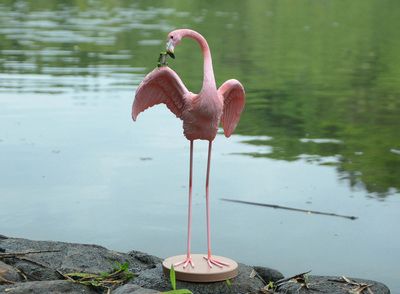 Frog flamingo