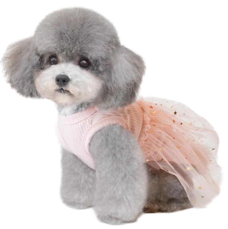 Winkel Voor Hondenkleding Hond Jurken Hond Kleding Voor Kleine Medium Honden Meisje Rok Huisdier Kat Prinses Jurk Hond Trouwjurk Zomer Kleding Tegen Prijzen Als 5,79 € |DHgate