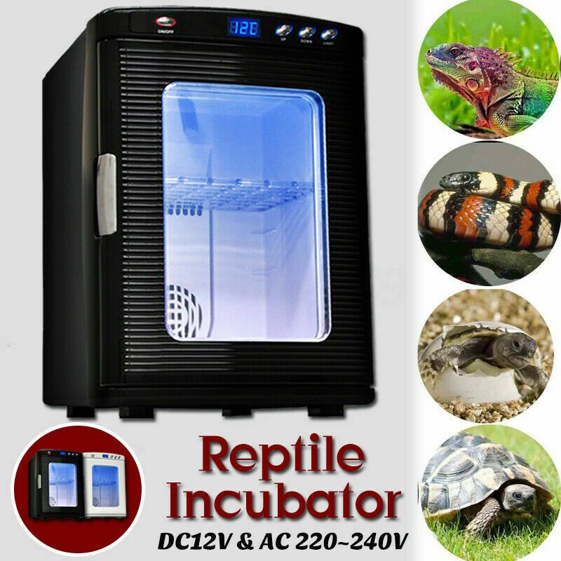 snake egg incubator snake egg incubator