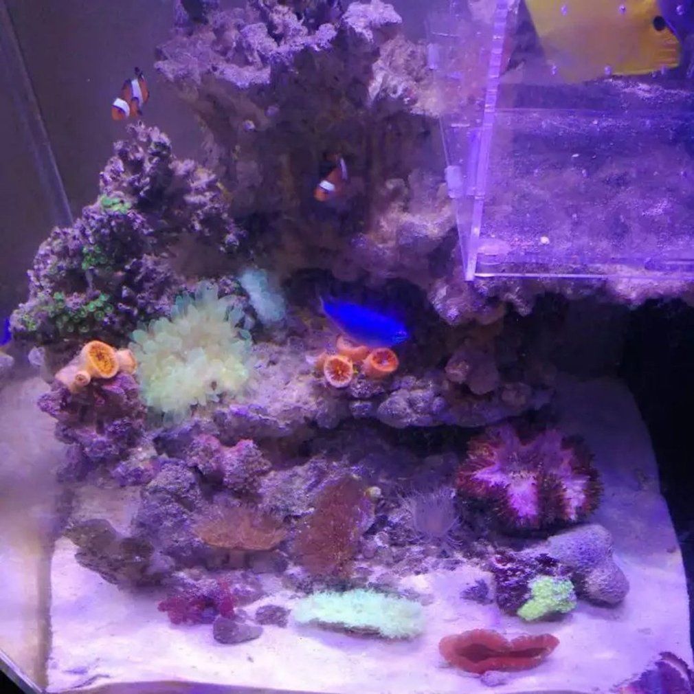 PopBloom marin led aquarium eclairage aquarium led reef coral lumière  aquarium