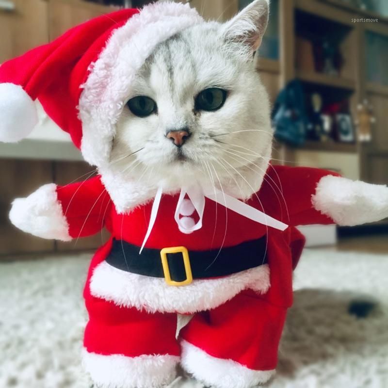 Magnético desconocido Antagonismo Disfraces de gatos invierno navidad mascota divertido santa claus ropa para  pequeños gatos perros años año