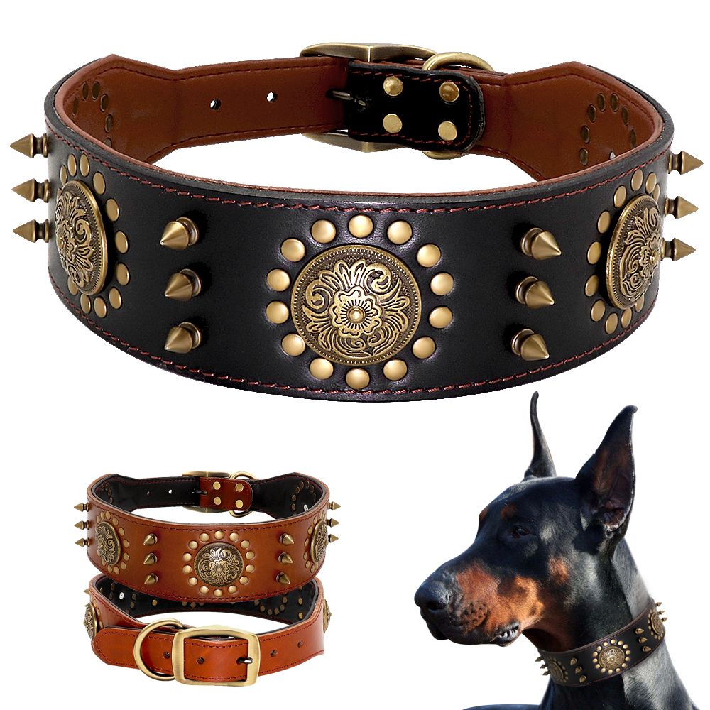 pitbull spiked collar