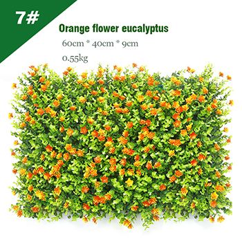 7 # Orange blomma eukalyptus