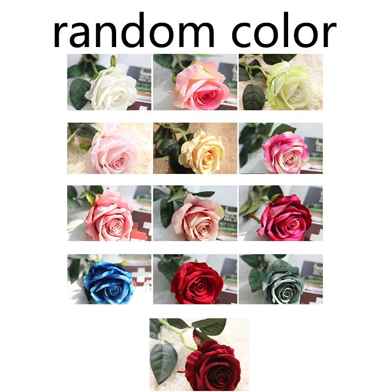 random color