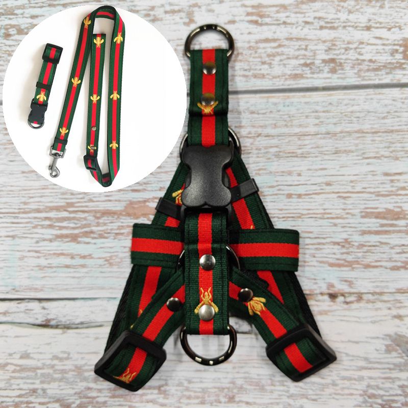 Gröna Collar + Leash + Harnesses