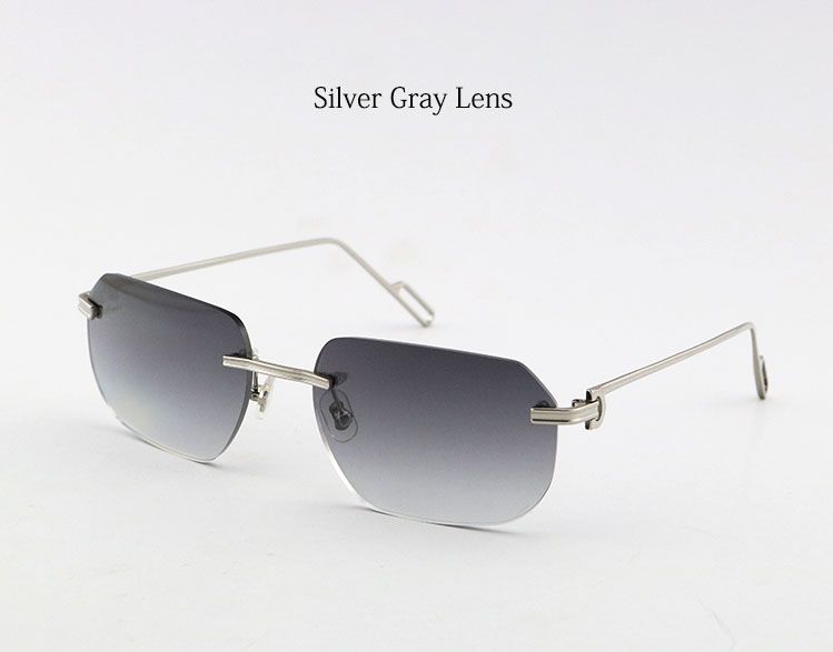 Silver Gray Lens