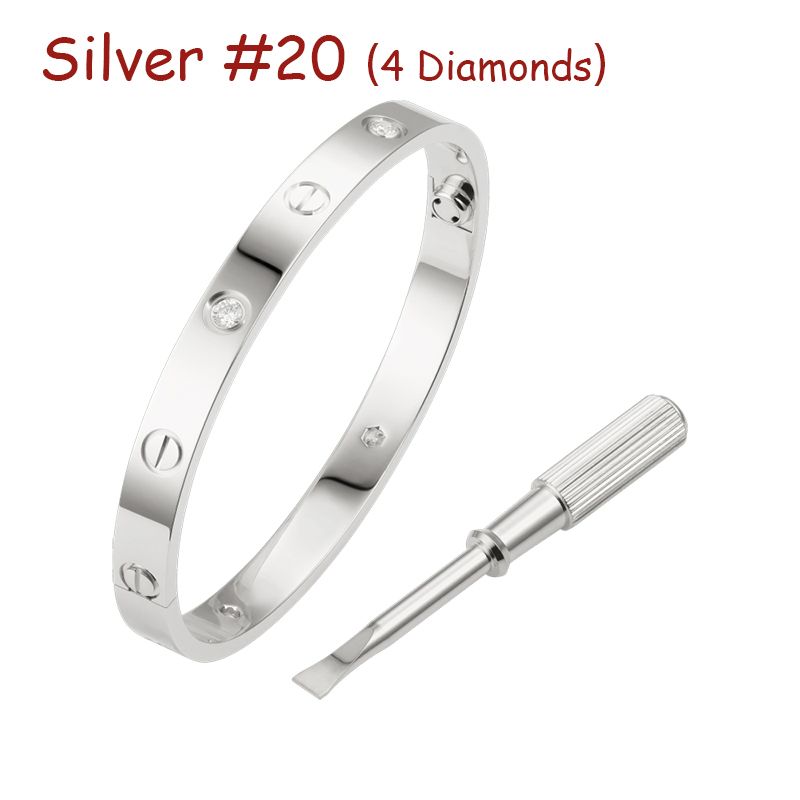 Zilver # 20 (4 diamanten)