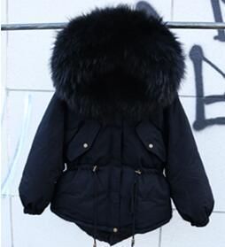 Black And Black Fur