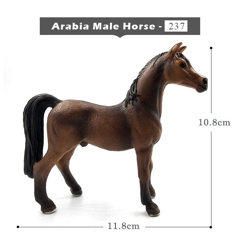 Arabia Maschio Cavallo