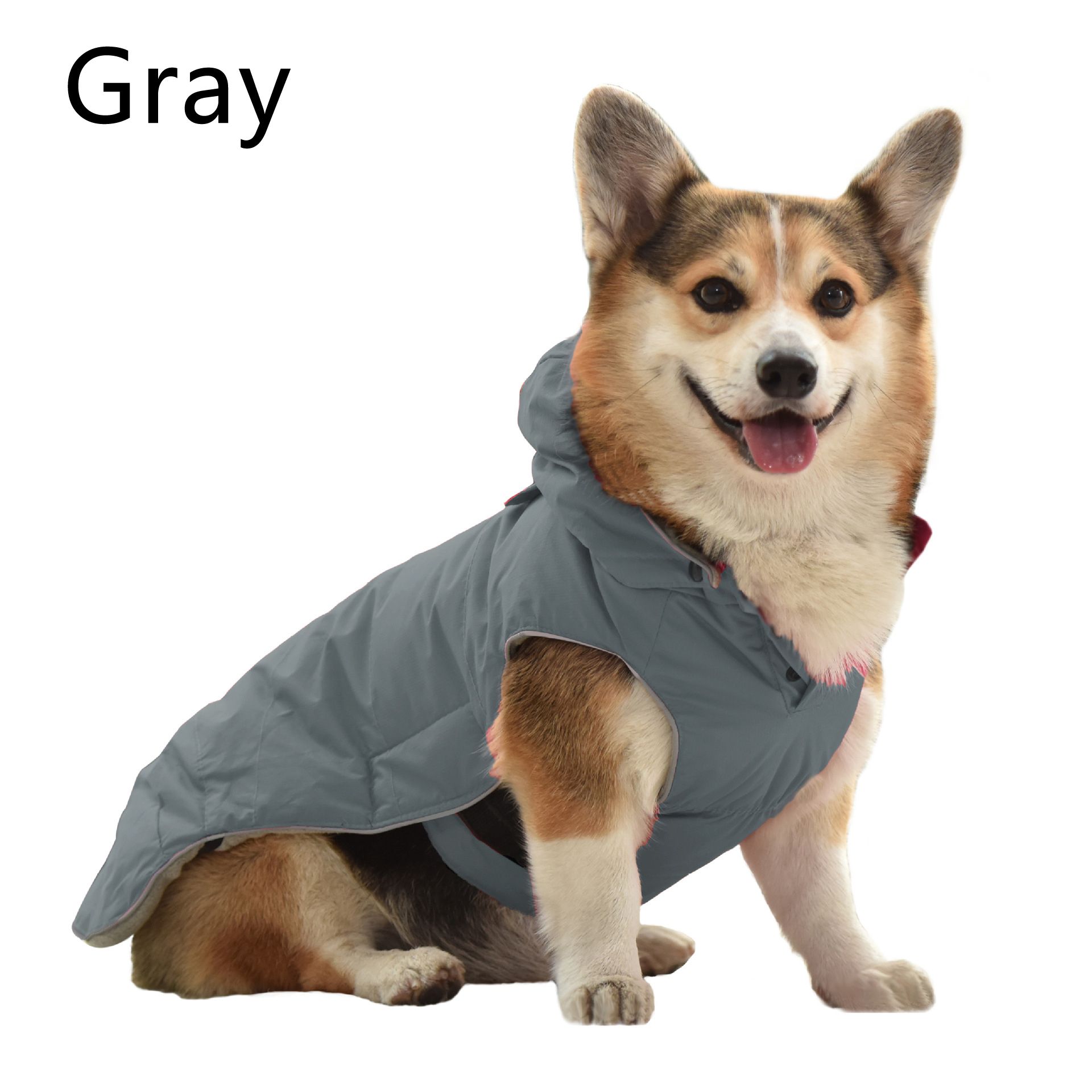 Grigio