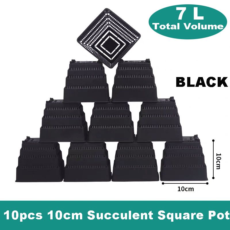 Noir - 10 Pcs 10cm