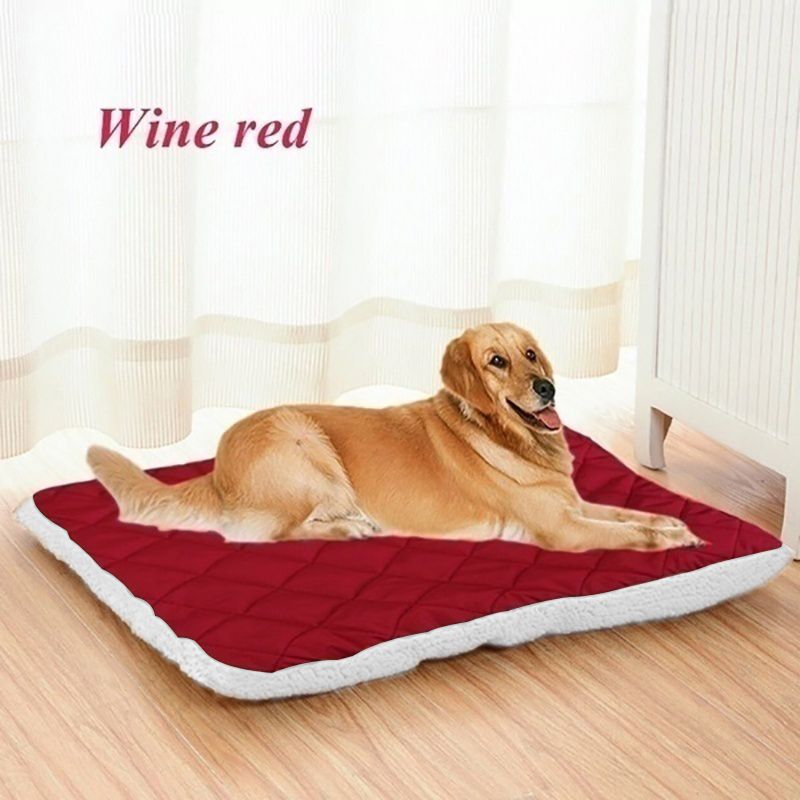 Vin rouge-100x80cm