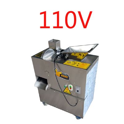 110V