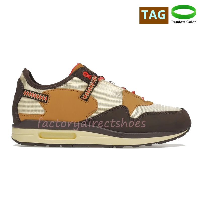 10 Cactus Baroque Brown