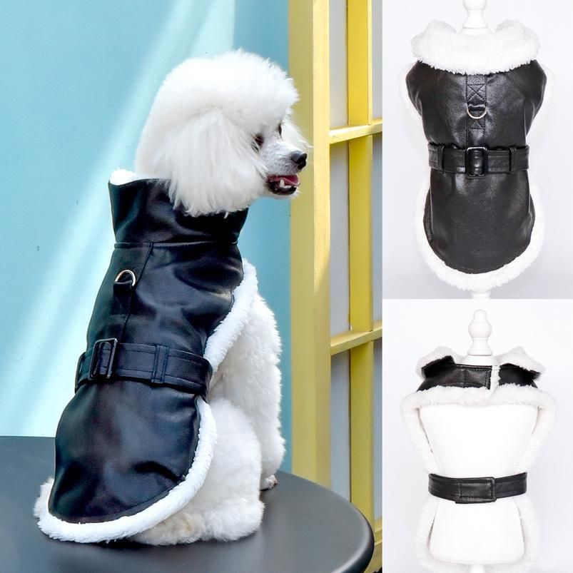 Compra Ropa Para Perros Mascotas Invierno Cálido Perros Chaqueta  Impermeable Cachorro Abrigo De Cuero Mascotas Ropa Para Chihuahua Bulldog  Francés Ropa Pa Bbympu Barato | Entrega Rápida Y Calidad | Es.Dhgate