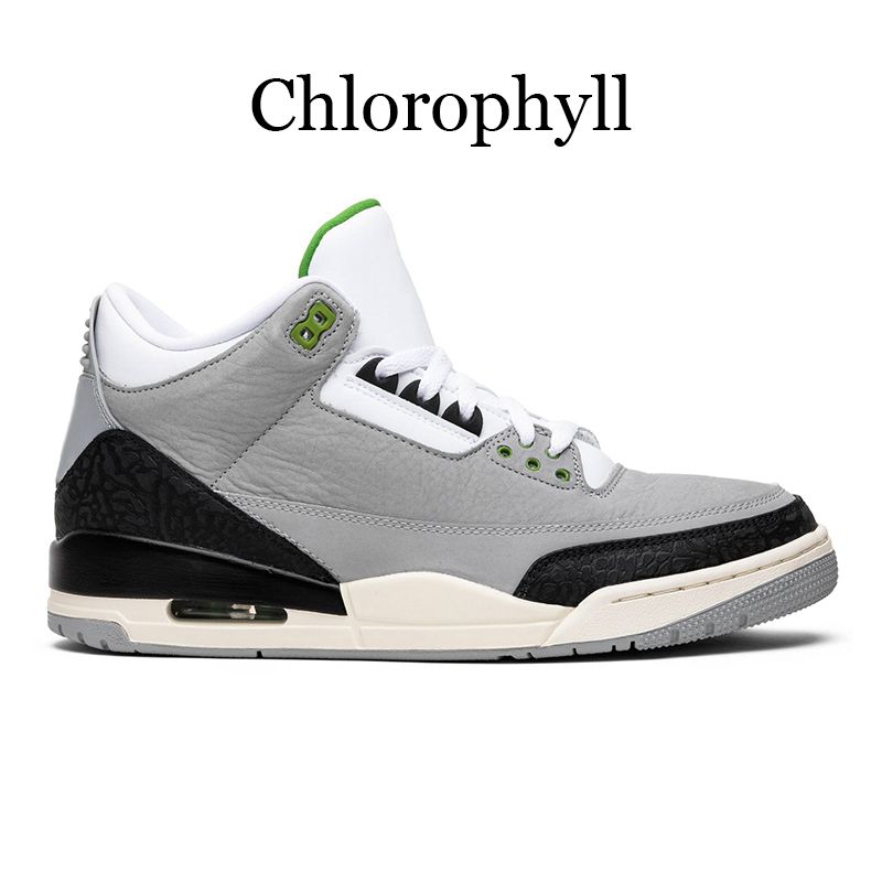 chlorophylle