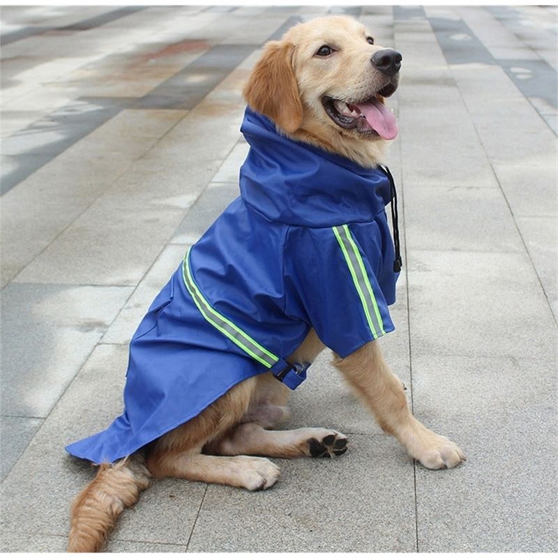 Pets First NFL Seattle Seahawks Dugout Jacket For