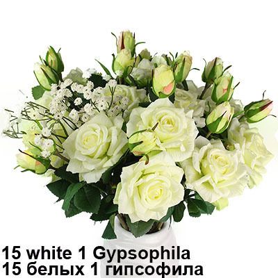 15White 1Gypsophila