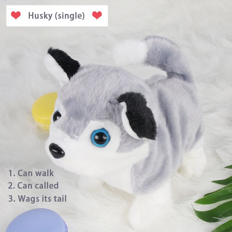 Husky(single)