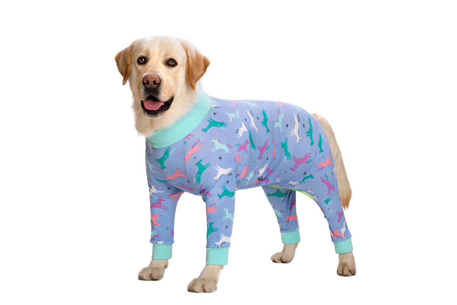 Paarse honden pyjama