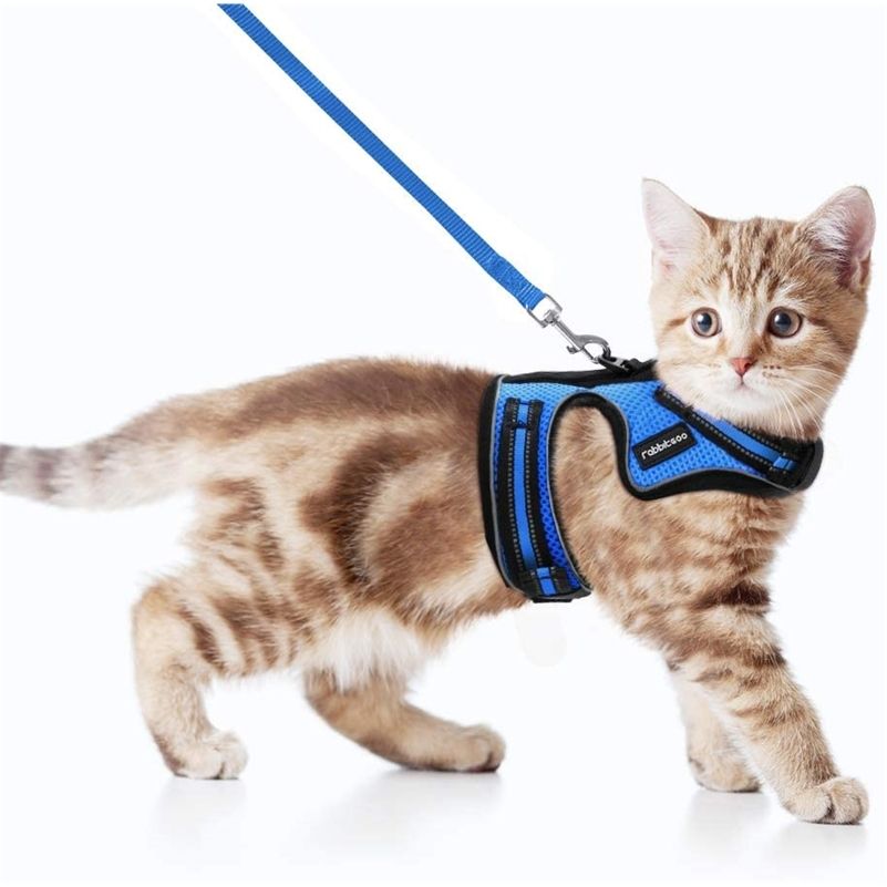 reflective cat harness