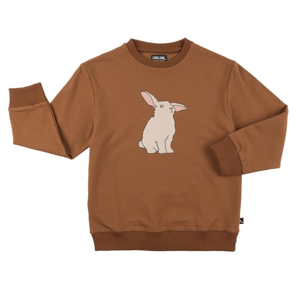 Borwn 토끼 스웨터