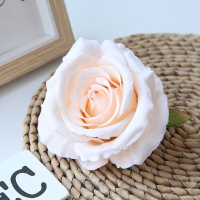 10 cm Rose 2.