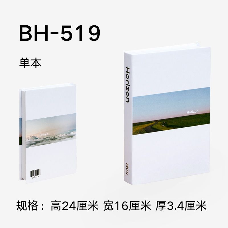 BH519