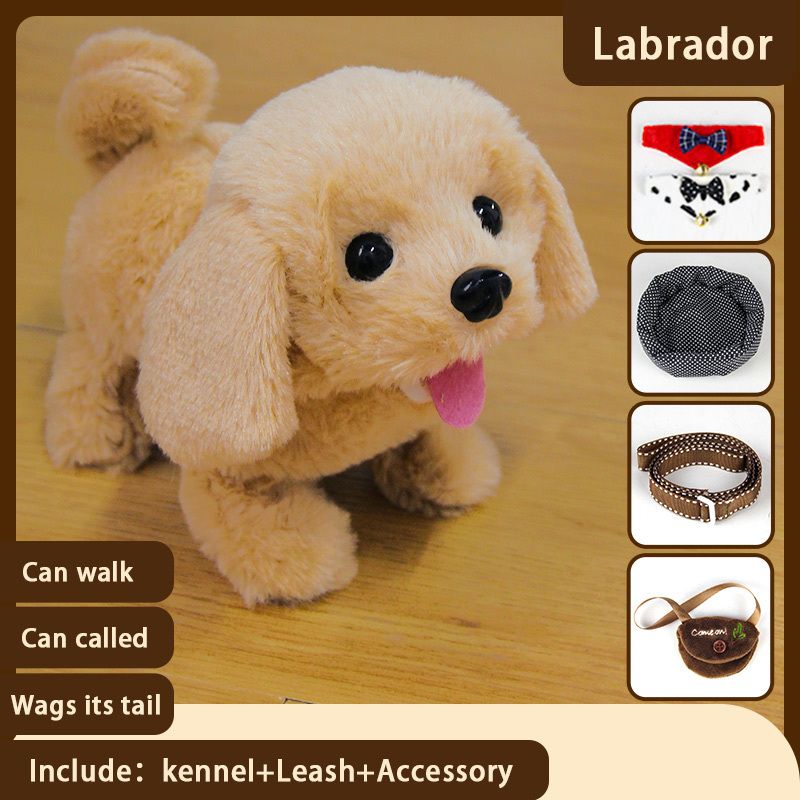 Labrador Set
