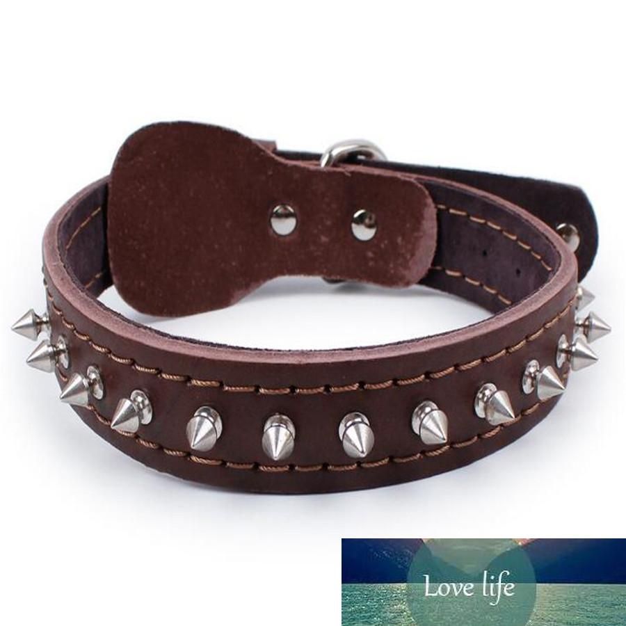 Cuello de perro con pinchos genuino Ajustable Cuero de vaca Correa de correa