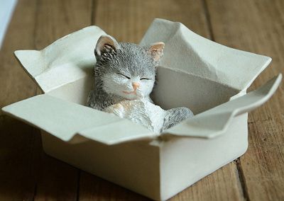 Box souris chat gris