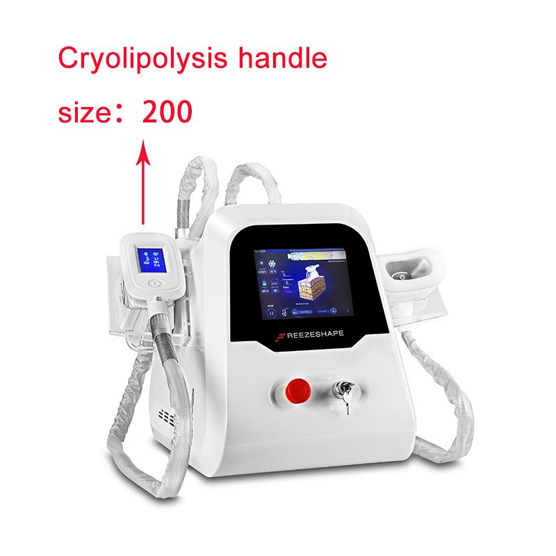 Cryolipolysis handle size: 200 mm