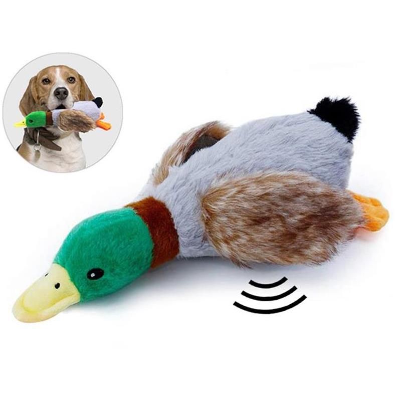 Satin Al Komik Hayvan Oyuncak Yaratici Ordek Sekli Squeaky Oyuncak Pet Cal Oyuncak For Dogs Kediler Pet Kedi Kopek Sekerleri Malzemeleri Anti Bite Chew Tl23 85 Tr Dhgate Com