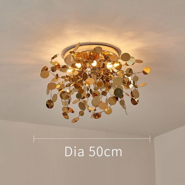 D50CM