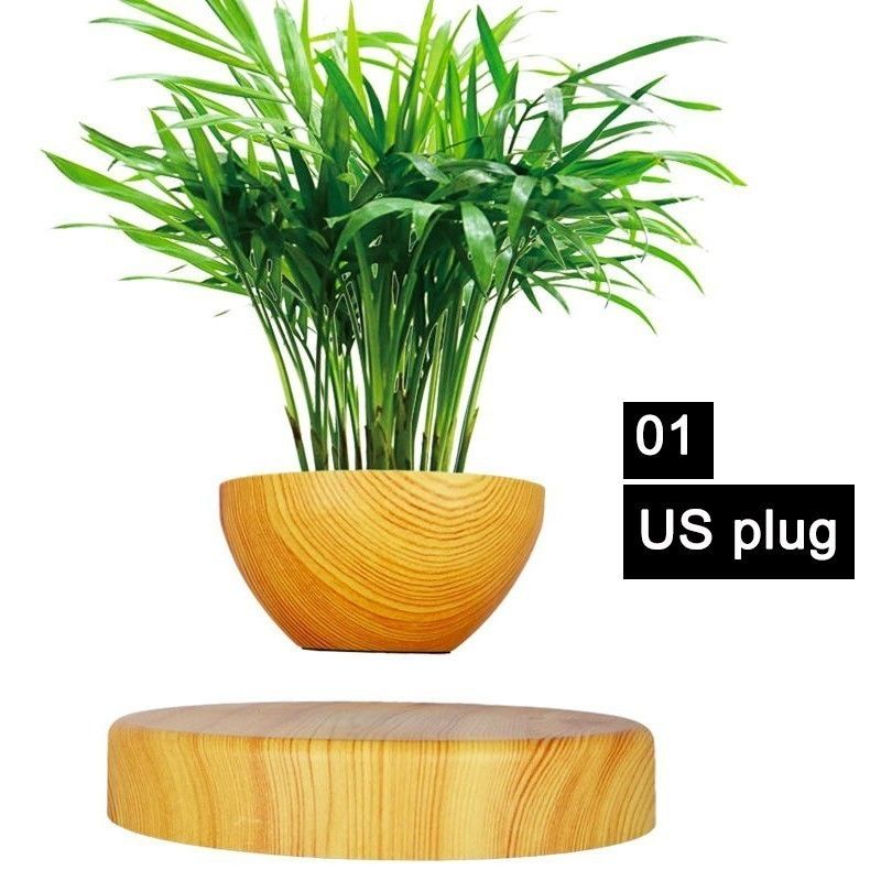 01 US Plug