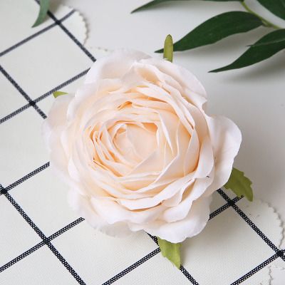 9cm rose